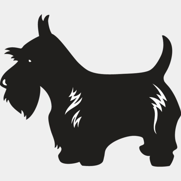 Scottish Terrier3 Thumbnail
