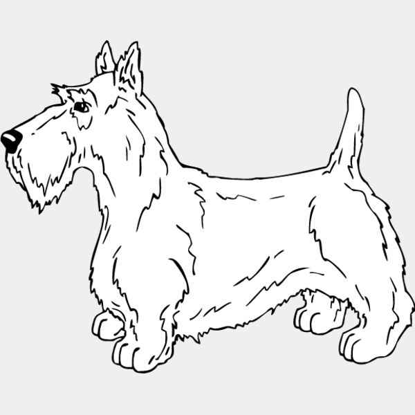 Scottish Terrier1 Thumbnail