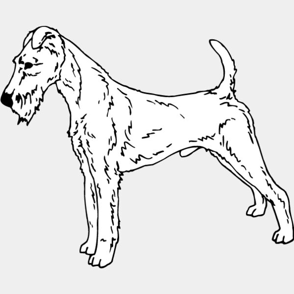 Irish Terrier Thumbnail