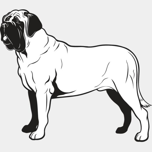 Bull Mastiff2 Thumbnail