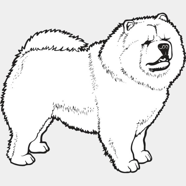 Chow Chow2 Thumbnail