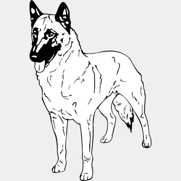 Belgian Shepherd Thumbnail