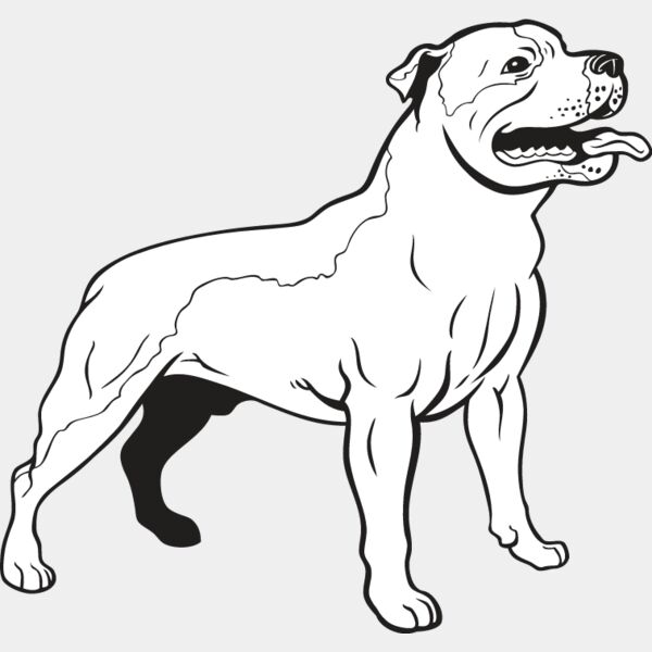 Staffordshire Bull Terrier1 Thumbnail