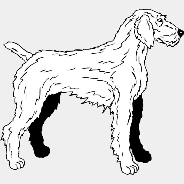 Wirehaired Pointer2 Thumbnail