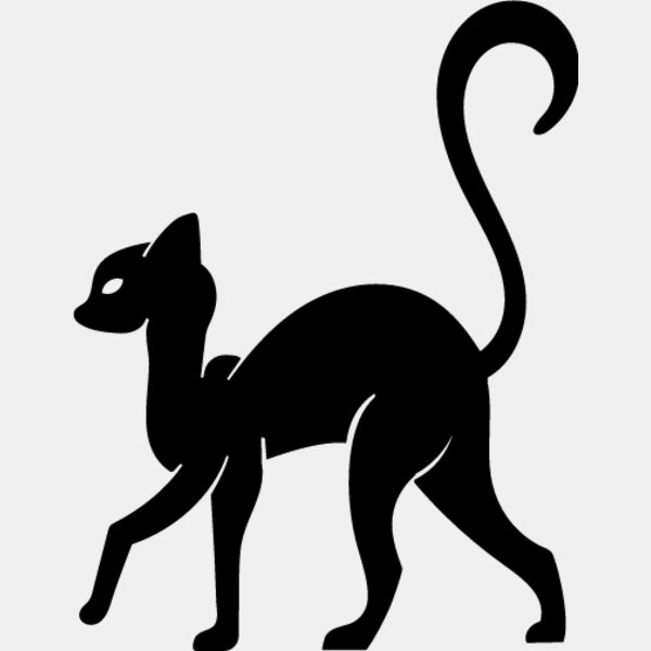 Elegant Cat6 Thumbnail