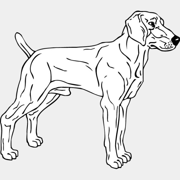 Weimariner3 Thumbnail