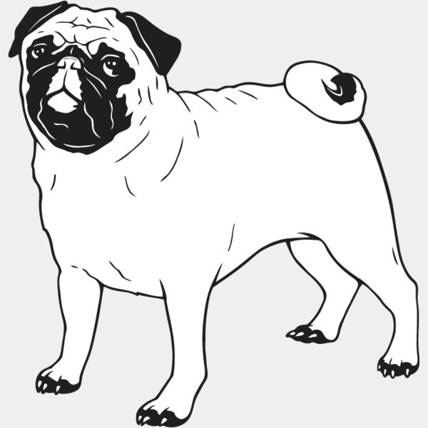 Pug1 Thumbnail