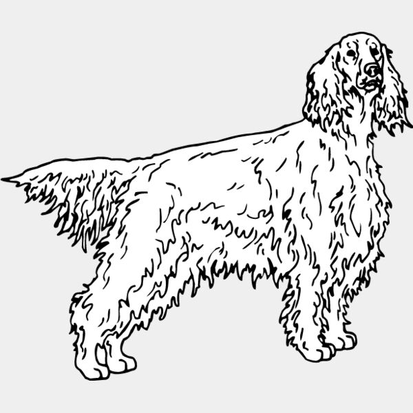 Irish Setter1 Thumbnail