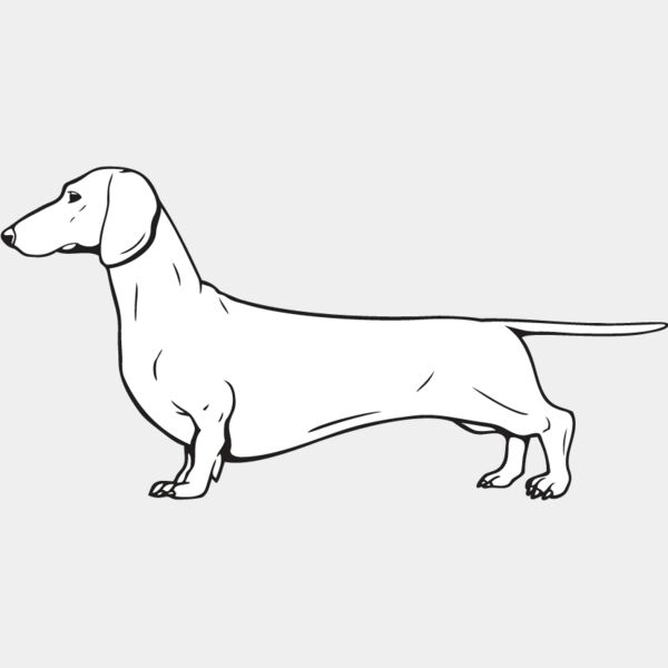 Dachshund2 Thumbnail