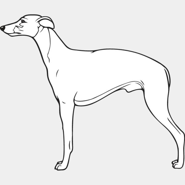 Whippet4 Thumbnail