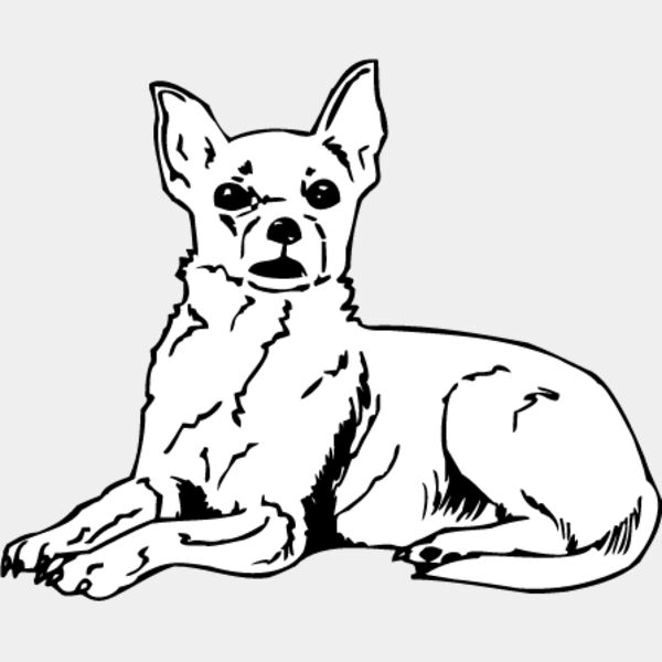 Chihuahua1 Thumbnail