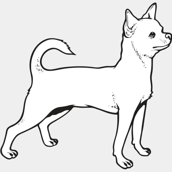 Chihuahua4 Thumbnail