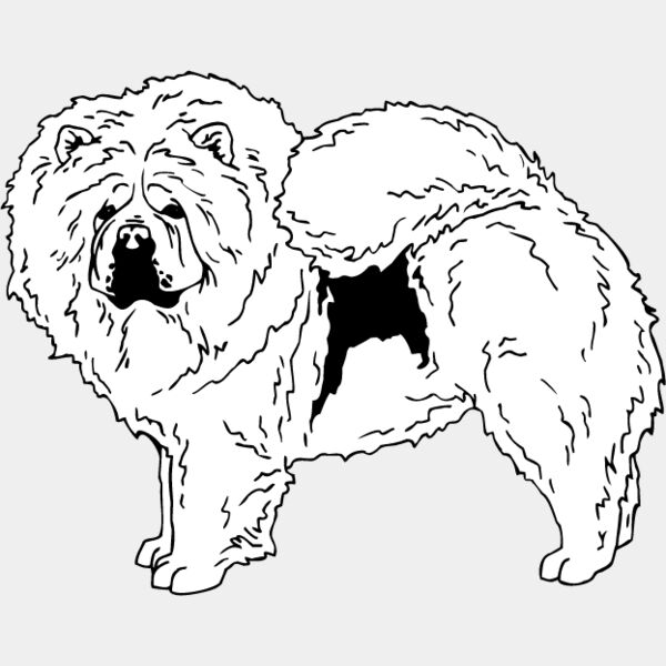 Chow Chow1 Thumbnail