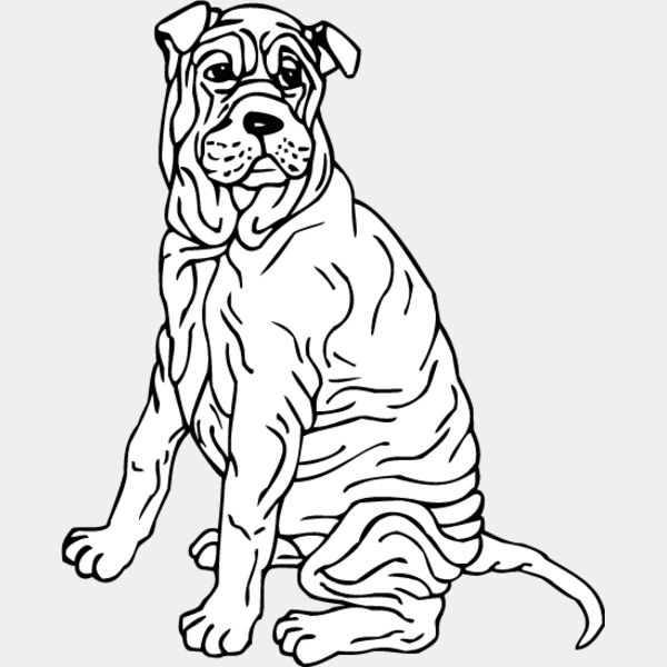 Shar Pei2 Thumbnail