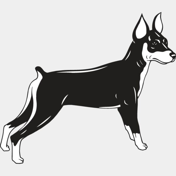 Miniature Pinscher Thumbnail