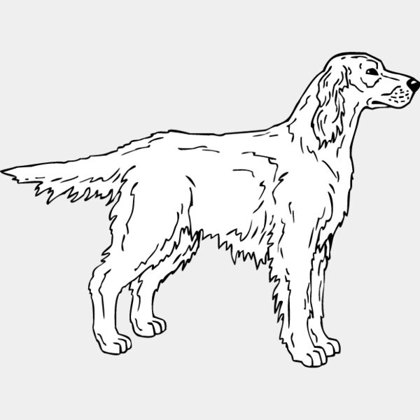 Irish Setter2 Thumbnail
