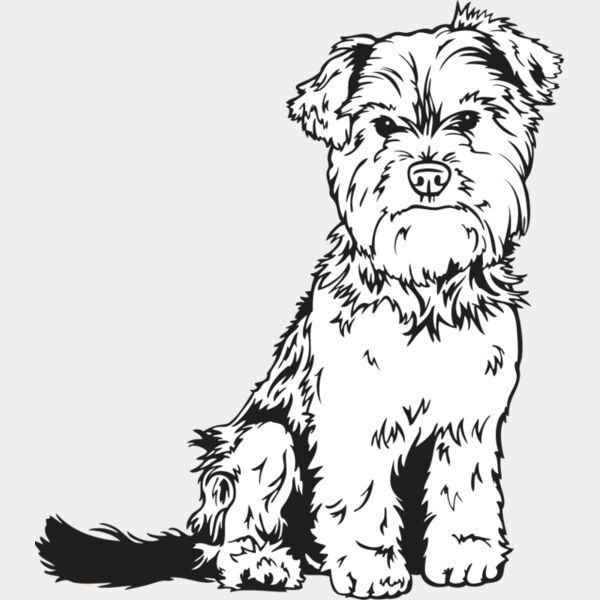 Yorkshire Terrier1 Thumbnail