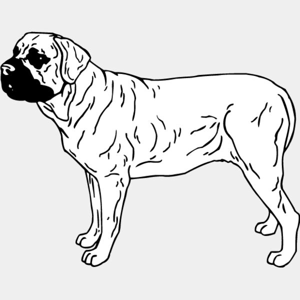 Bull Mastiff3 Thumbnail