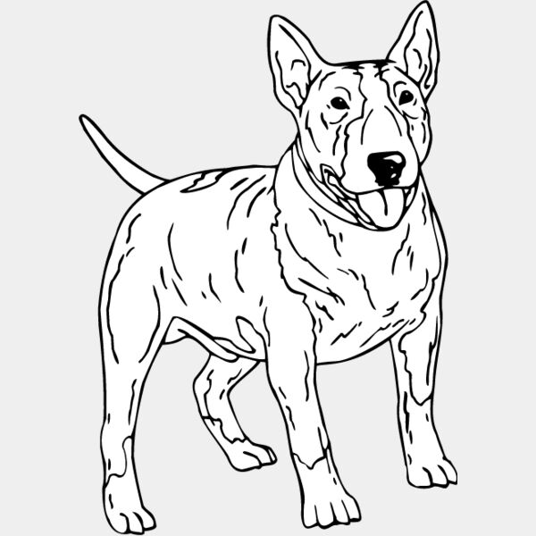 Bull Terrier1 Thumbnail