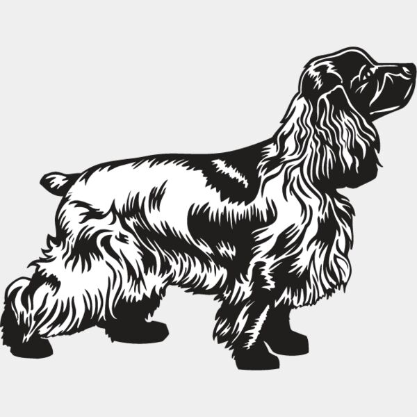 Cocker Spaniel2 Thumbnail