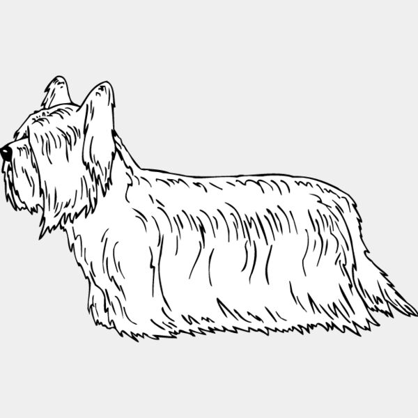 Skye Terrier Thumbnail