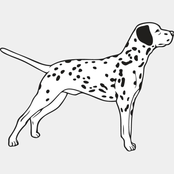 Dalmation3 Thumbnail