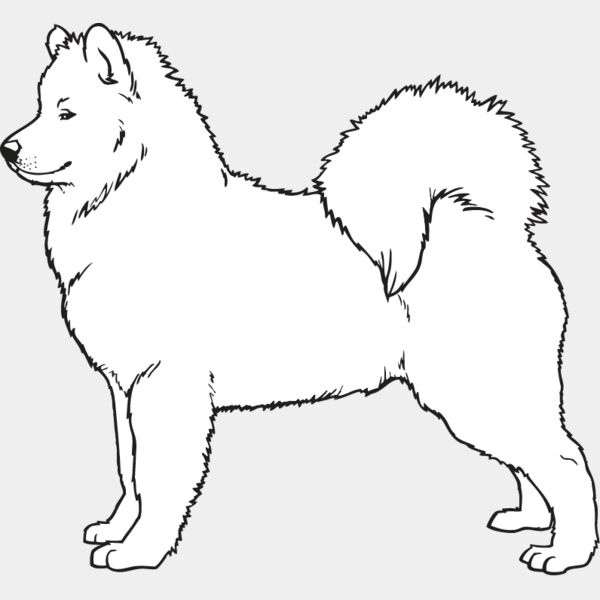 Samoyed2 Thumbnail
