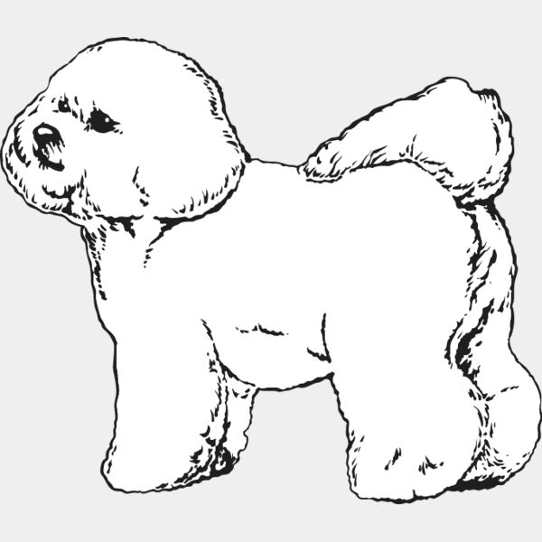 Bichon Frise2 Thumbnail