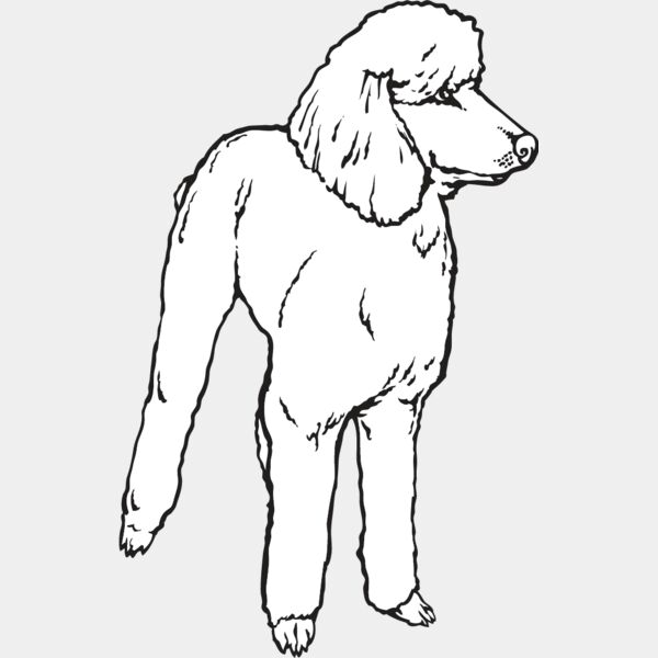 Poodle2 Thumbnail