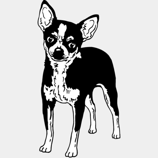 Chihuahua2 Thumbnail