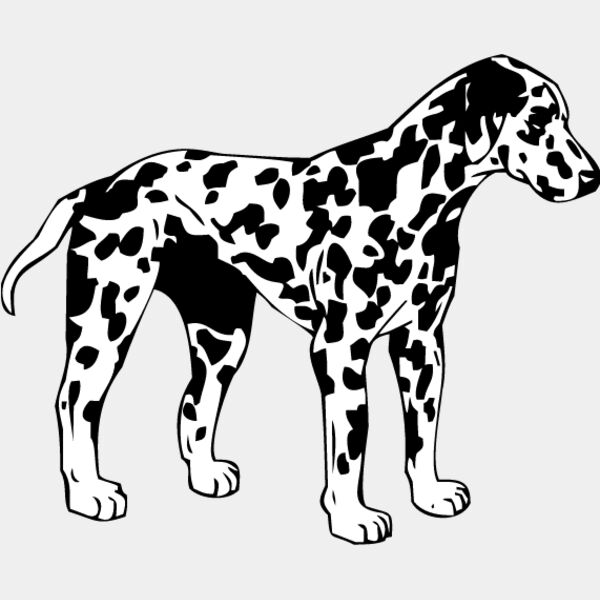 Dalmation1 Thumbnail