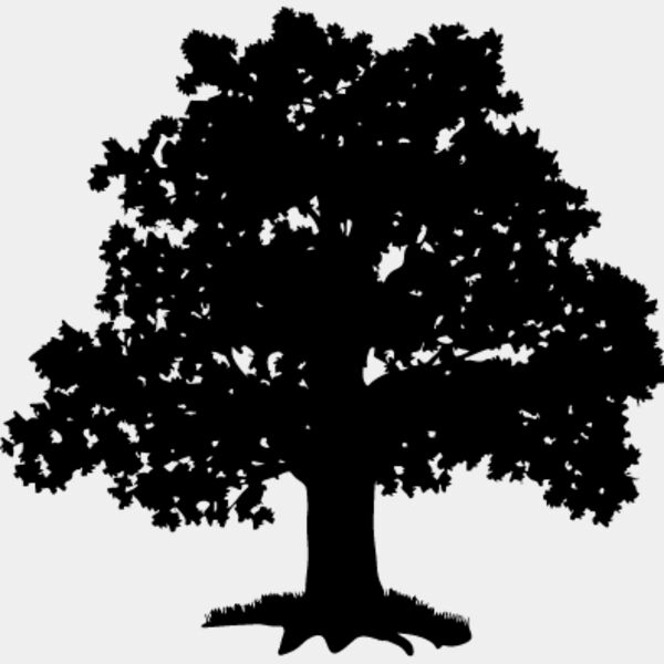 Oak Tree5 Thumbnail