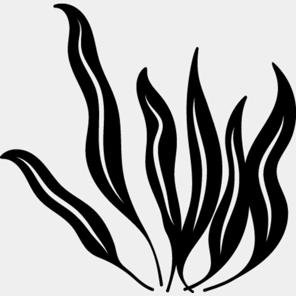 Seaweed2 Thumbnail