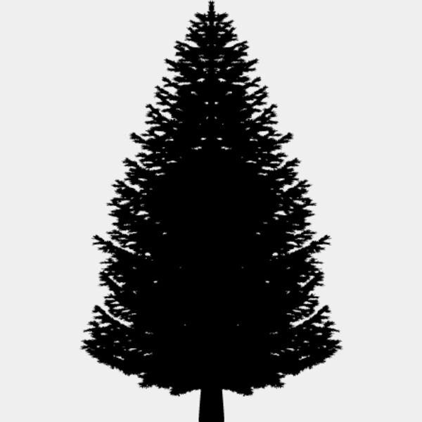 Pine Tree9 Thumbnail