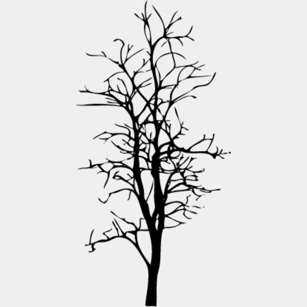 Bare Tree5 Thumbnail