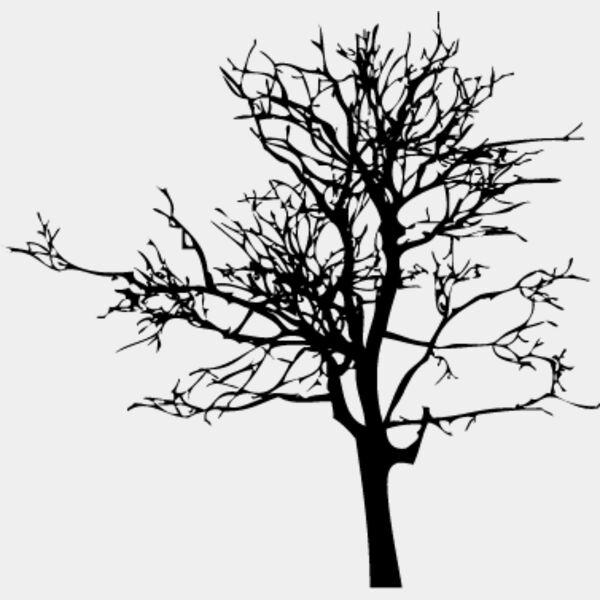 Bare Tree6 Thumbnail