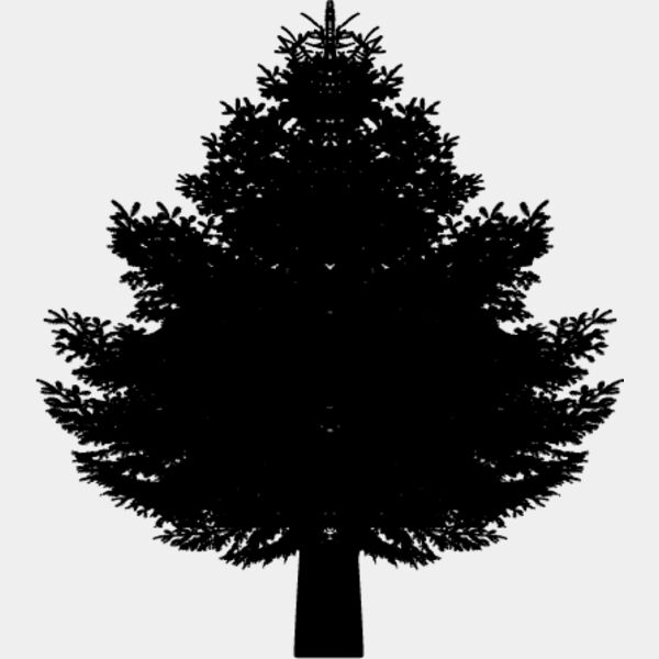 Pine Tree8 Thumbnail