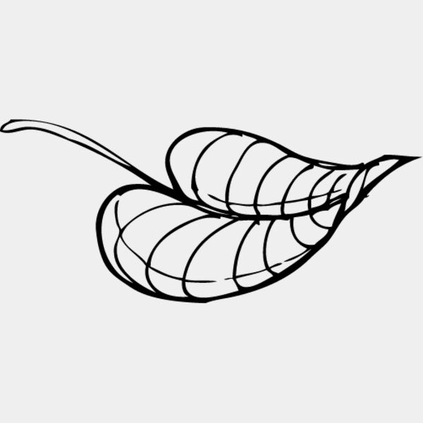 Leaf Line4 Thumbnail