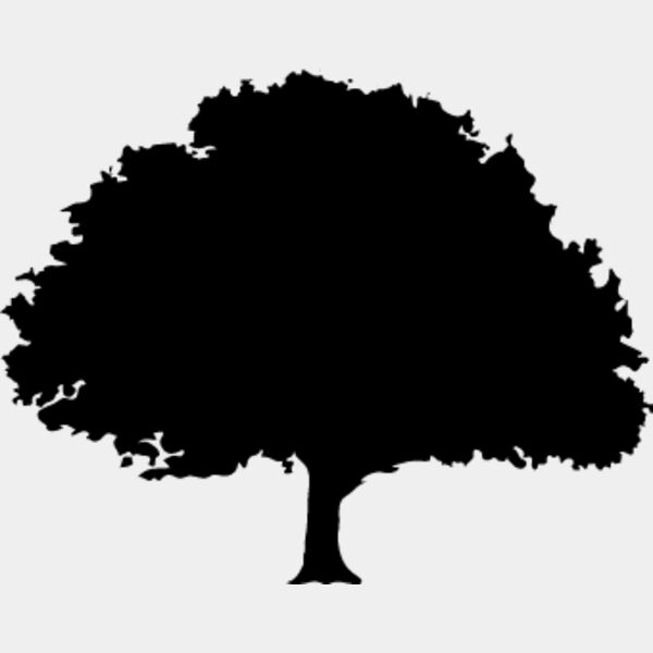 Oak Tree1 Thumbnail