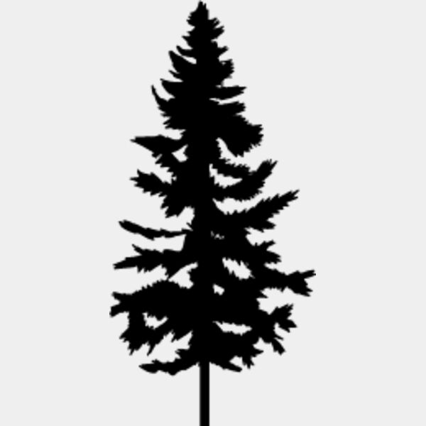 Pine Tree3 Thumbnail