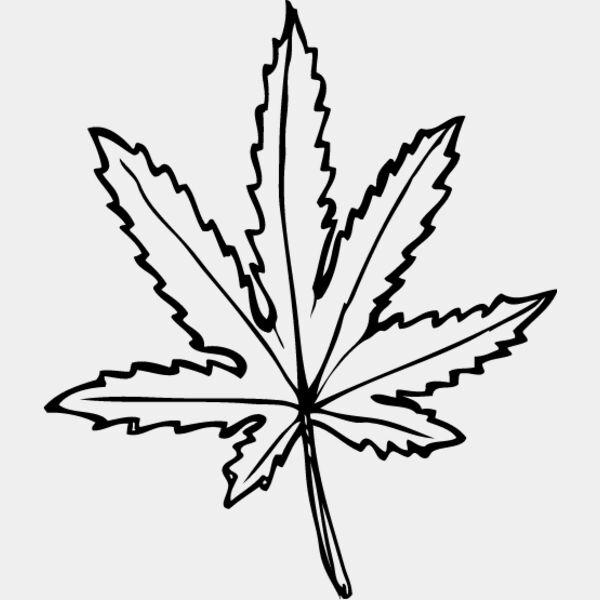 Leaf Line1 Thumbnail