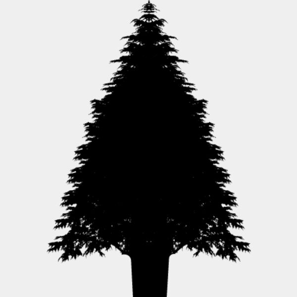 Pine Tree14 Thumbnail