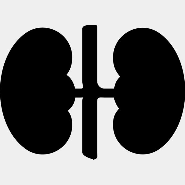 Kidneys Thumbnail