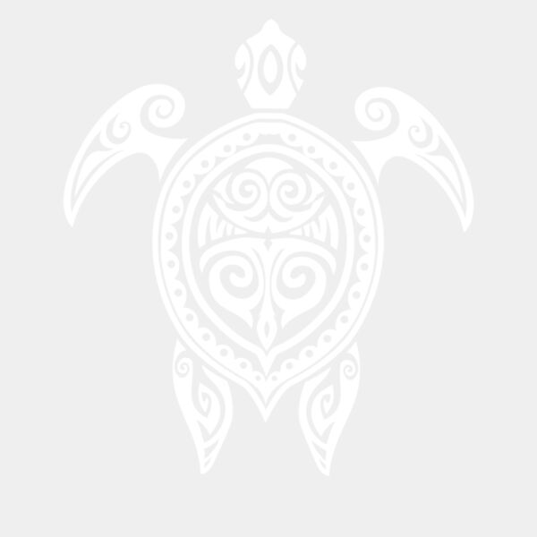 Turtle  white  Thumbnail