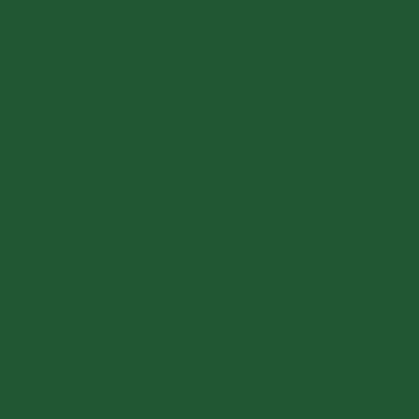 Forest Green - PMS 357C (1851)  Thumbnail
