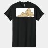 Heavy Cotton ™ 100% Cotton T Shirt Thumbnail